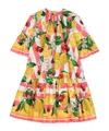 Dolce & Gabbana Printed Cotton Dress In Multicolor
