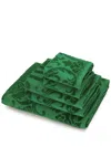 Dolce & Gabbana Terry Cotton Towels (set Of Five) In Green