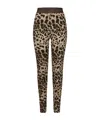 Dolce & Gabbana Jersey Leggings In Brown