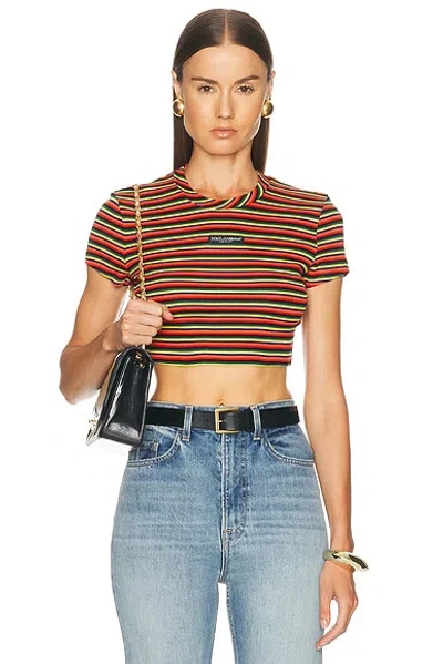 Dolce & Gabbana Jersey Rigato Cropped T-shirt In Animal Print
