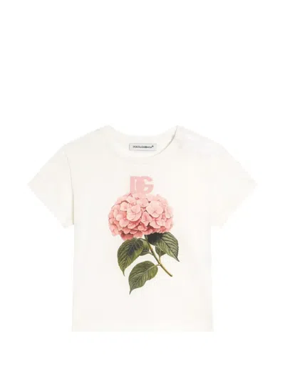 Dolce & Gabbana Babies' Jersey T-shirt With Hydrangeas-print In White