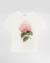 Dolce & Gabbana Jersey T-shirt With Print And Dg Logo In White