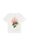 Dolce & Gabbana Jersey T-shirt With Print And Dg Logo In White