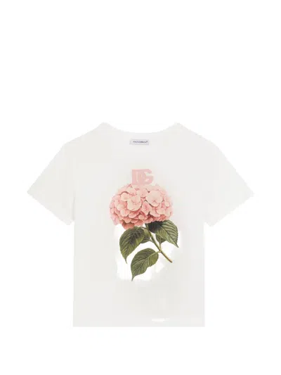 Dolce & Gabbana Kids' Jersey T-shirt With Print And Dg-logo In White