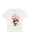Dolce & Gabbana Jersey T-shirt With Print And Dg Logo In White