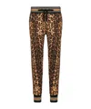 Dolce & Gabbana Leopard-print Cotton Track Pants In Brown
