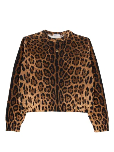 Dolce & Gabbana Junior Kids'  Crewneck Pullover In Animal Print