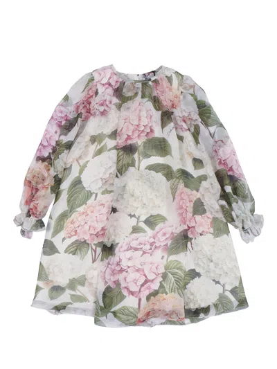 Dolce & Gabbana Junior Dress Long Sl+culotte In Multi