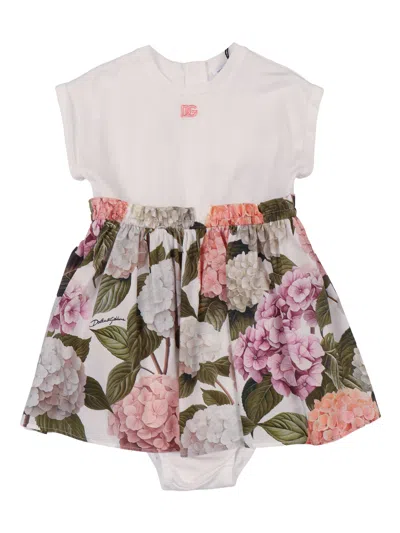 Dolce & Gabbana Junior Kids'  Dressshortsl+culotte In Multi