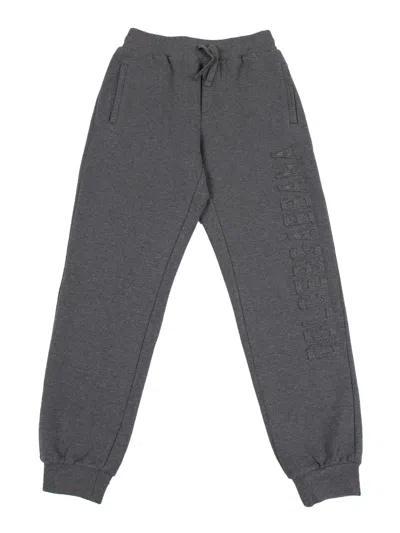 Dolce & Gabbana Junior Kids'  Pants In Gray