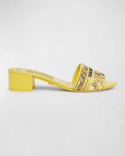 Dolce & Gabbana Karol Embroidered Block-heel Slide Sandals In Yellow Multicolor