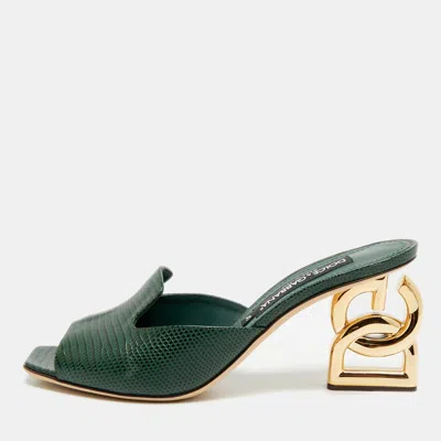Pre-owned Dolce & Gabbana Keira Size 41 Green Lizard Embossed Leather Slide Sandals