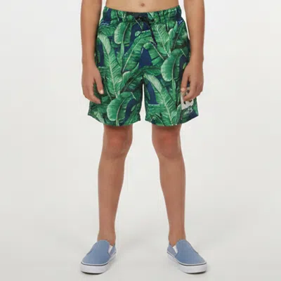 Pre-owned Dolce & Gabbana Kids Green Banana Tree Print Synthetic Swim Shorts 10 Yrs