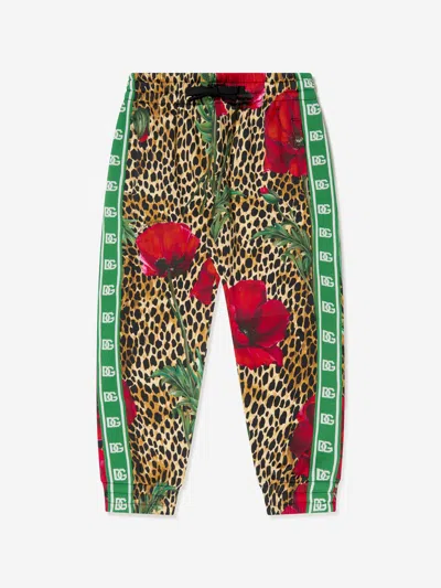 Dolce & Gabbana Kids Ocelot And Poppy Joggers 8 Yrs Multicoloured