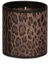 Dolce & Gabbana Klassische Duftkerze In Brown