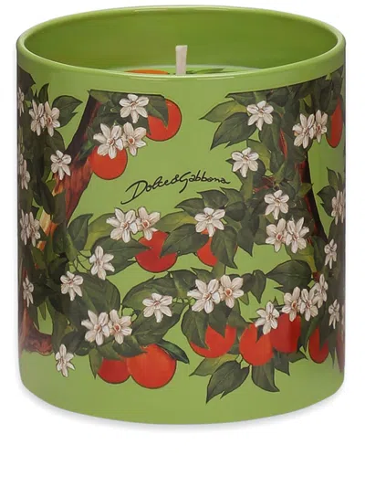 Dolce & Gabbana Klassische Duftkerze In Green