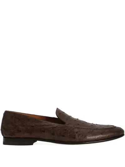 Dolce & Gabbana Klassische Loafer In Brown