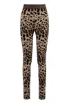 Dolce & Gabbana Logo-waistband Leopard-print Leggings In Animalier