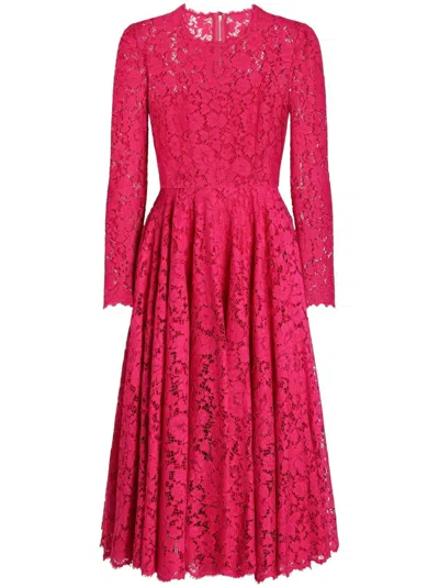 Dolce & Gabbana Calf-length Circle-skirt Dress In Cordonetto Lace In Pink