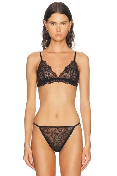 Dolce & Gabbana Lace Bra In Black