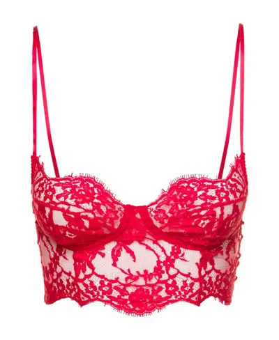 Dolce & Gabbana Lace Bralette Top In Red