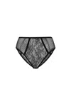 Dolce & Gabbana Lace Panelled Semi-sheer Briefs In Gray