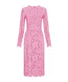 Dolce & Gabbana Midi Dress In Floral Cordonnet Lace In Pink