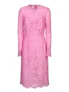 Dolce & Gabbana Light Pink Lace Sheath Dress In Pink
