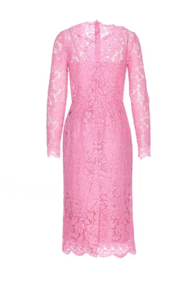 Dolce & Gabbana Lace Sheath Dress In Pink