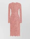 Dolce & Gabbana Women Branded Floral Cardonetto Lace Sheath Dress In Pink