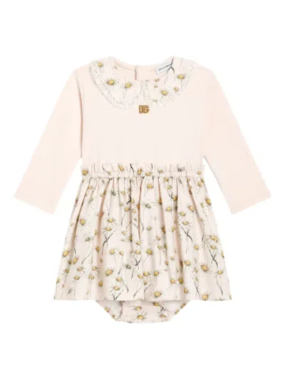Dolce & Gabbana Babies' Lace-trim Daisy-print Dress In Multi