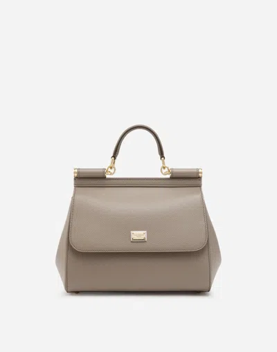Dolce & Gabbana Large Sicily Handbag In Beige