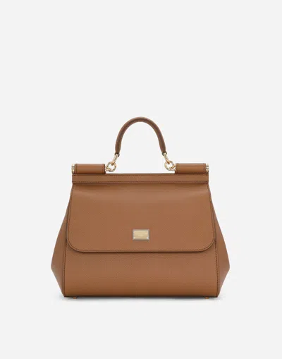 Dolce & Gabbana Large Sicily Handbag In Brown