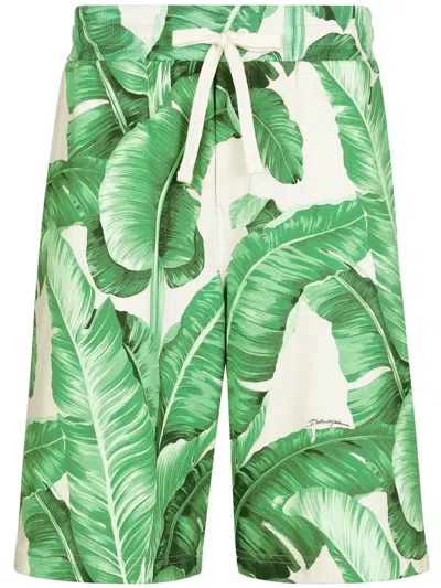 Dolce & Gabbana Bermuda In Print