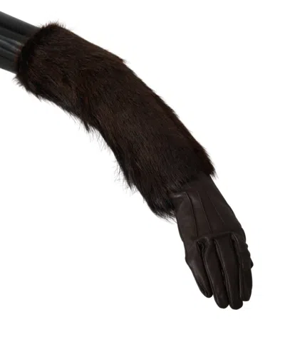 Dolce & Gabbana Leather And Fur Elbow-length Gloves In Black