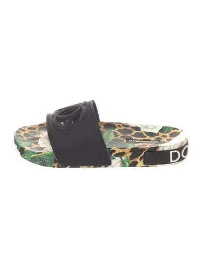 Pre-owned Dolce & Gabbana Leather Animal Print Slides In Black