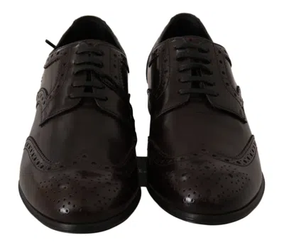 Dolce & Gabbana Leather Brogue Wingtip Oxford In Brown