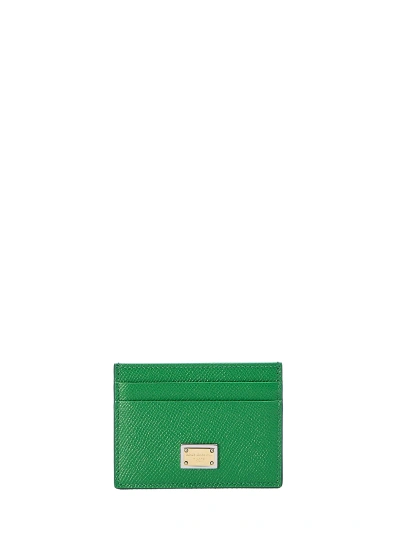 Dolce & Gabbana Leather Cardholder In Green