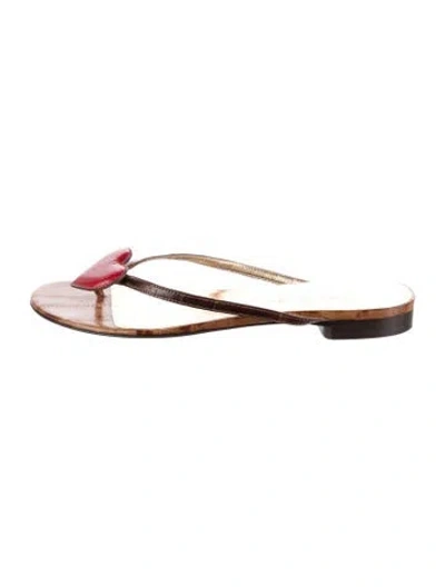Pre-owned Dolce & Gabbana Leather Flip Flops In Brown
