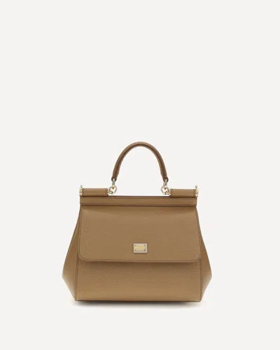 Dolce & Gabbana Leather Handbag In Brown