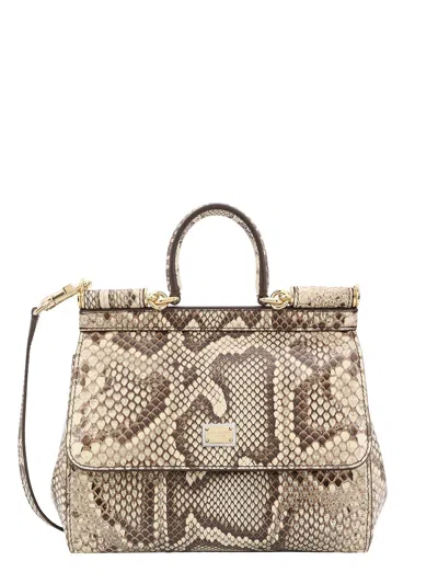 Dolce & Gabbana Leather Handbag With Animalier Print In Animal Print