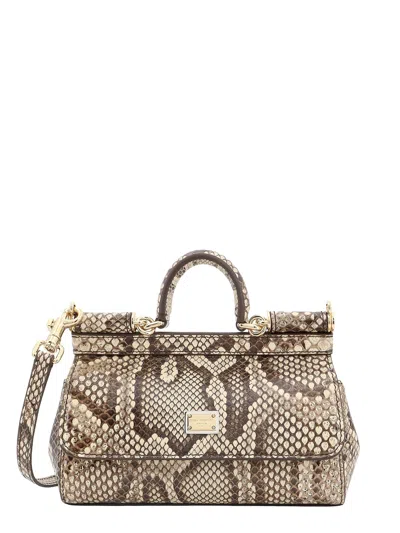 Dolce & Gabbana Leather Handbag With Animalier Print In Animal Print