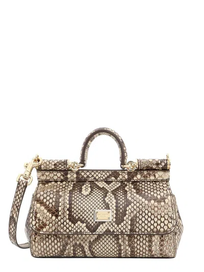 Dolce & Gabbana Leather Handbag With Animalier Print In Brown