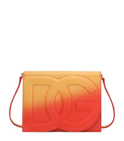 Dolce & Gabbana Leather Logo Cross-body Bag In Multi