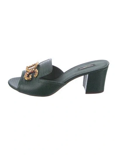 Pre-owned Dolce & Gabbana Leather Mules In Green