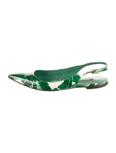 Pre-owned Dolce & Gabbana Leather Printed Slingback Flats In Green