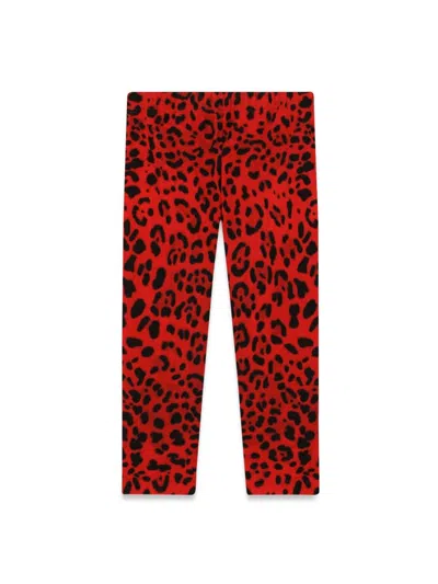 Dolce & Gabbana Kids' Leggings In Animalier