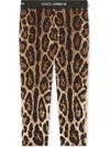Dolce & Gabbana Leopard-print Leggings In Brown