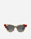 Dolce & Gabbana Woman Accessories In Leopard Print / Gold Glitter