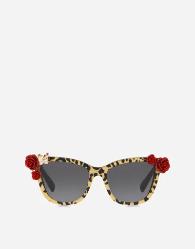 Dolce & Gabbana Woman Accessories In Leopard Print / Gold Glitter